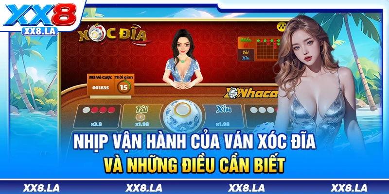 Nhịp vận hành của ván xóc đĩa và những điều cần biết